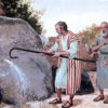 Firmes Fundamentos - Image 3